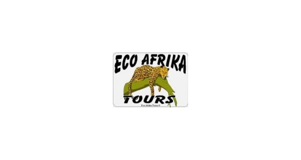 Eco Afrika Tours Knysna Logo